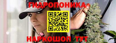 трава Новодвинск