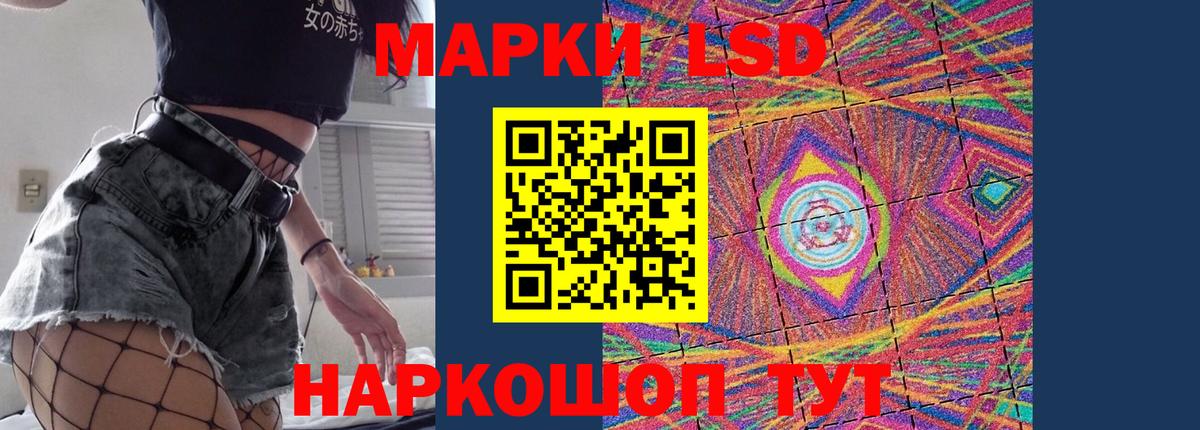 МЕФ Сокол