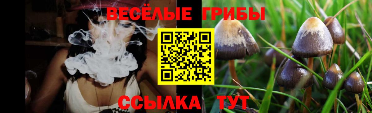 Псилоцибиновые грибы ЛСД  Вход с VPN  Псилоцибиновые грибы MAGIC MUSHROOMS  Сокол 